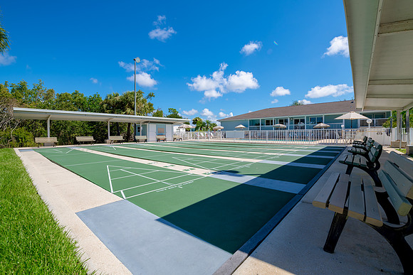 Buttonwood 2018-6