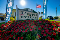 Pegel Point Web